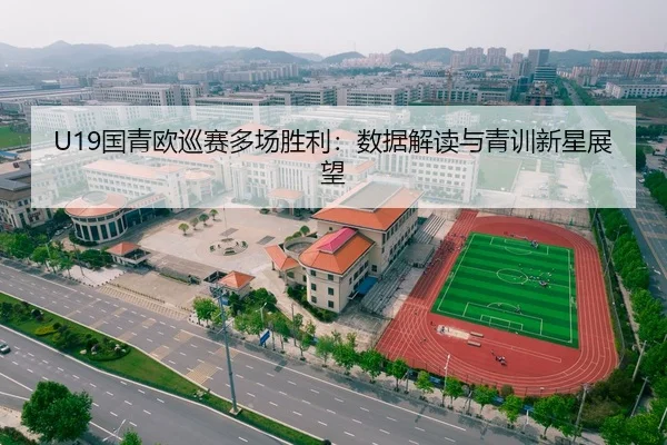U19国青欧巡赛多场胜利：数据解读与青训新星展望